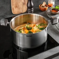 Garnek z pokrywką TEFAL Emotion+ 5,7 l 24 cm