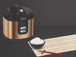Multicooker ryżowar Tefal Coppertinto 2l 700W