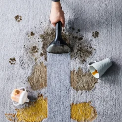 Płyn do odkurzacza piorącego Tefal Clean It na plamy po zwierzętach 1l