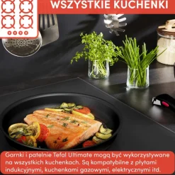 Zestaw garnków i patelni TEFAL INGENIO ULTIMATE 12 el.
