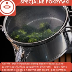 Zestaw garnków z pokrywkami TEFAL NORDICA - 10 elementów