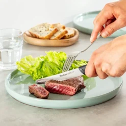 Zestaw noży ze stali nierdzewnej TEFAL COLORFOOD - 3 elementy